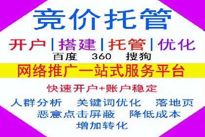 实战经验：SEO与SEM优化案例精选解析